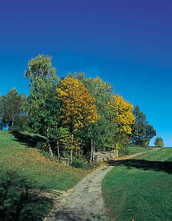 Herbst im Bayerischen Wald